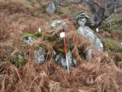 MHG49727_01.JPG