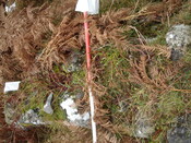 MHG49727_02.JPG