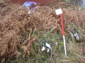 MHG49727_03.JPG