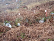 MHG49727_06.JPG