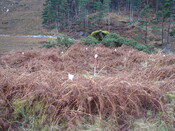 DSC03196 from NNW general view.JPG