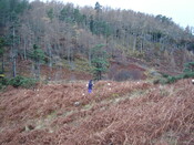 DSC03198.JPG
