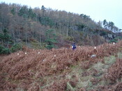 DSC03199from W looking towards HC.JPG