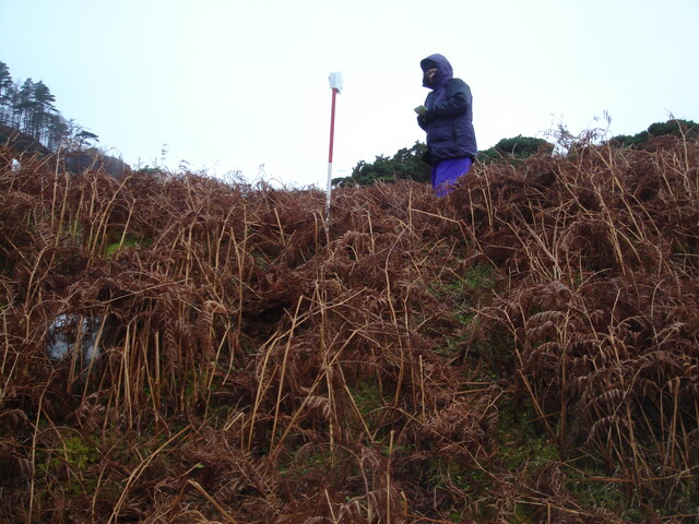 from SE  HC entrance from the bottom shows slope up .JPG