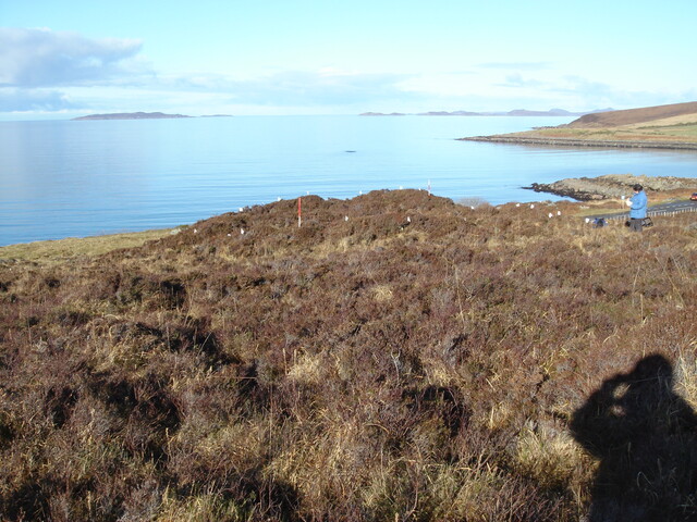 MHG7766_02.JPG