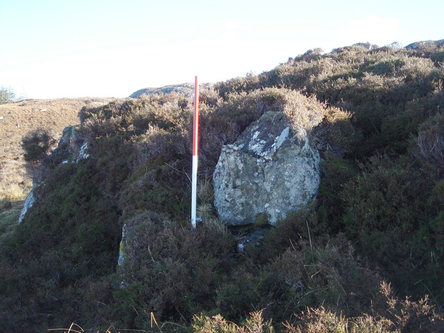 MHG7766_04.JPG