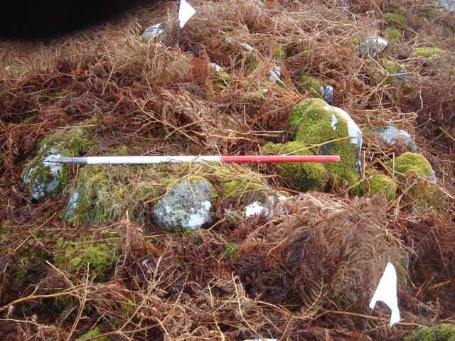 MHG60598_03.JPG