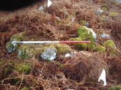 MHG60598_03.JPG