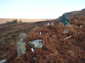 MHG60598_04.JPG