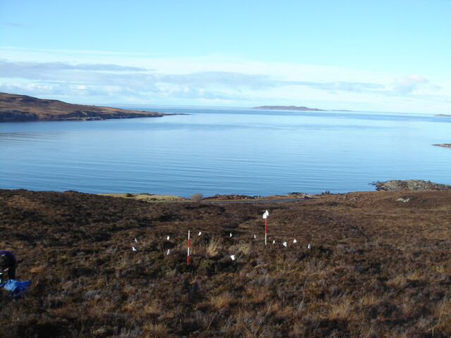MHG49729_01.JPG