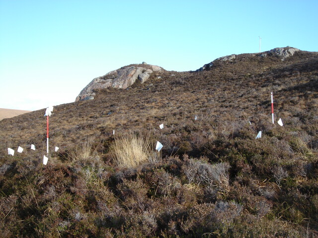 MHG49729_02.JPG