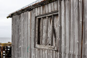 EHG5296_7166,12.19.33.jpg