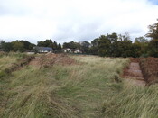 EHG5299_21.JPG