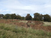 EHG5299_26.JPG