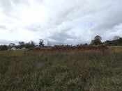 EHG5299_27.JPG
