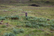 MHG60850_02.JPG