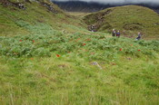MHG60850_04.JPG