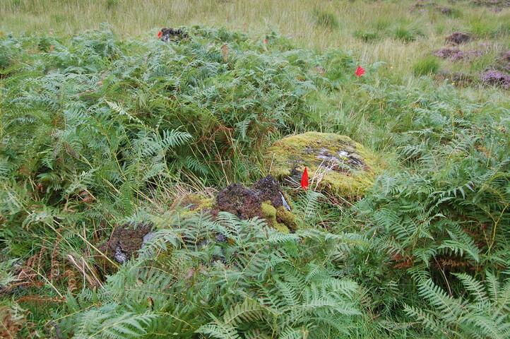 MHG60850_05.JPG