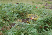 MHG60850_05.JPG