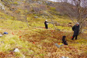 MHG60861_03.JPG