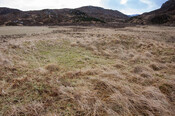 MHG60926_01.jpg