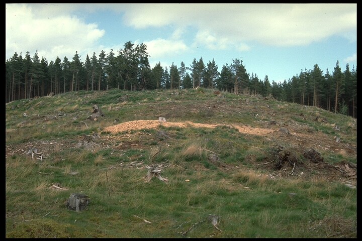 843.jpg