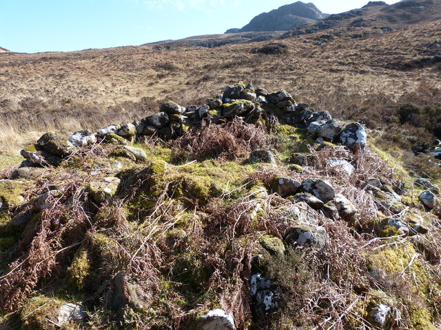 MHG60943_02.JPG