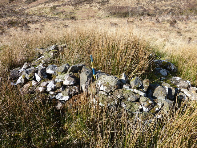 MHG60946_02.JPG