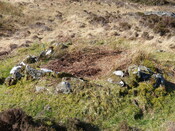 MHG60948_02.JPG