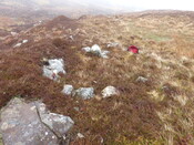 MHG60954_02.JPG