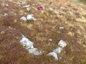 MHG60954_03.JPG