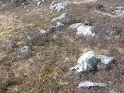 MHG60954_04.JPG