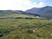 MHG60976_02.JPG