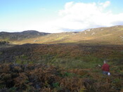 MHG60978_01.JPG