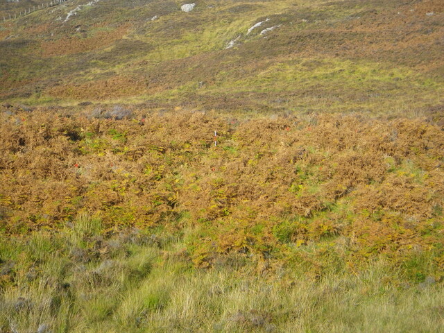 MHG60978_02.JPG