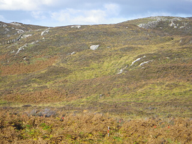 MHG60978_03.JPG