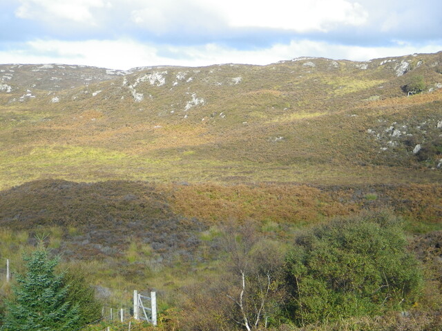 MHG60978_04.JPG