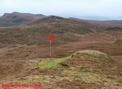 MHG60892_01.JPG