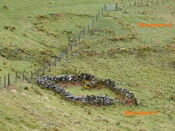 MHG60988_03.JPG
