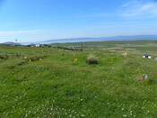 MHG5782_02.JPG
