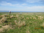 MHG61062_01.JPG