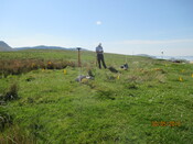 MHG61062_03.JPG