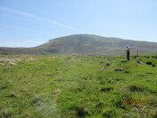 MHG61063_01.JPG