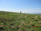 MHG61063_02.JPG