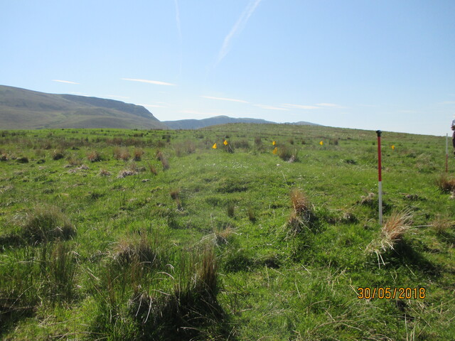 MHG61063_03.JPG