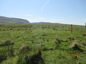 MHG61063_03.JPG