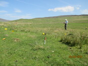 MHG61117_02.JPG