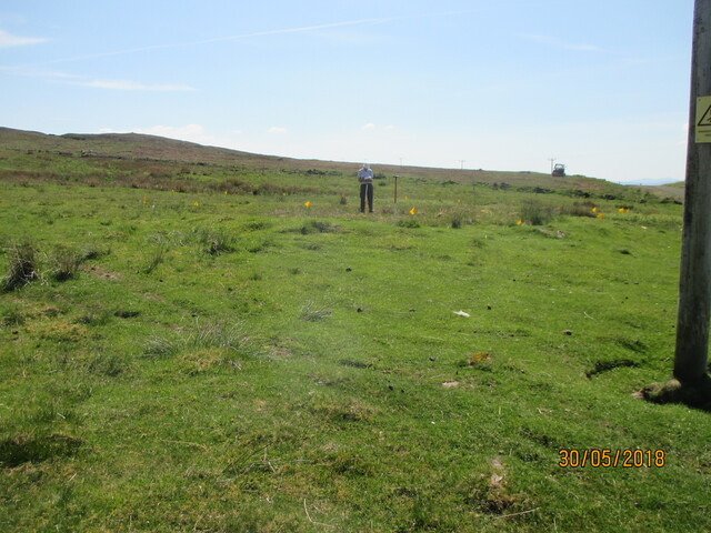MHG61117_04.JPG