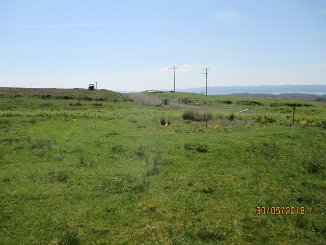 MHG61118_01.JPG
