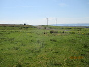 MHG61118_01.JPG